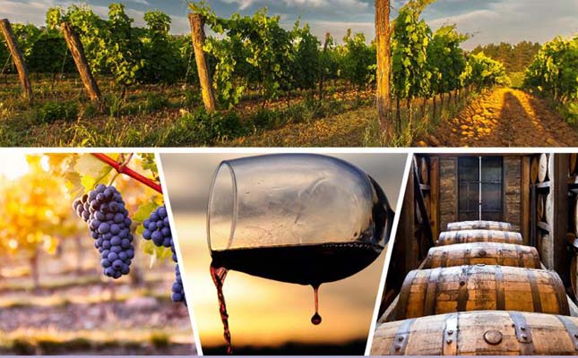 重慶紅酒批發(fā)市場(chǎng) 重慶紅酒批發(fā)市場(chǎng)