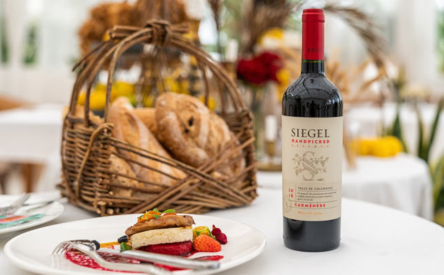 重慶紅酒批發(fā)市場(chǎng) 重慶紅酒批發(fā)市場(chǎng)