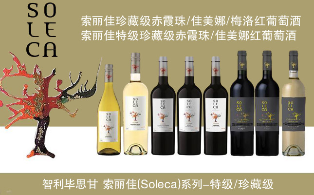 索麗佳特級珍藏赤霞珠紅葡萄酒 索麗佳特級珍藏赤霞珠紅葡萄酒