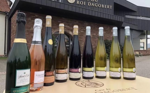 重慶紅酒廣場(chǎng) 賣葡萄酒的地方在哪里 寸灘保稅港